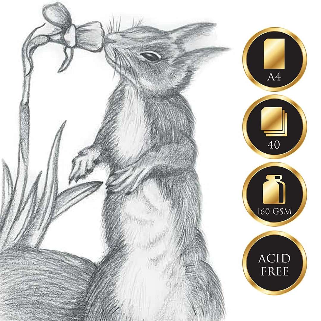 FairFax & Co A4 Sketch Pad 40 Sheets – Premium Drawing Paper for Pencil, Graphite & Charcoal